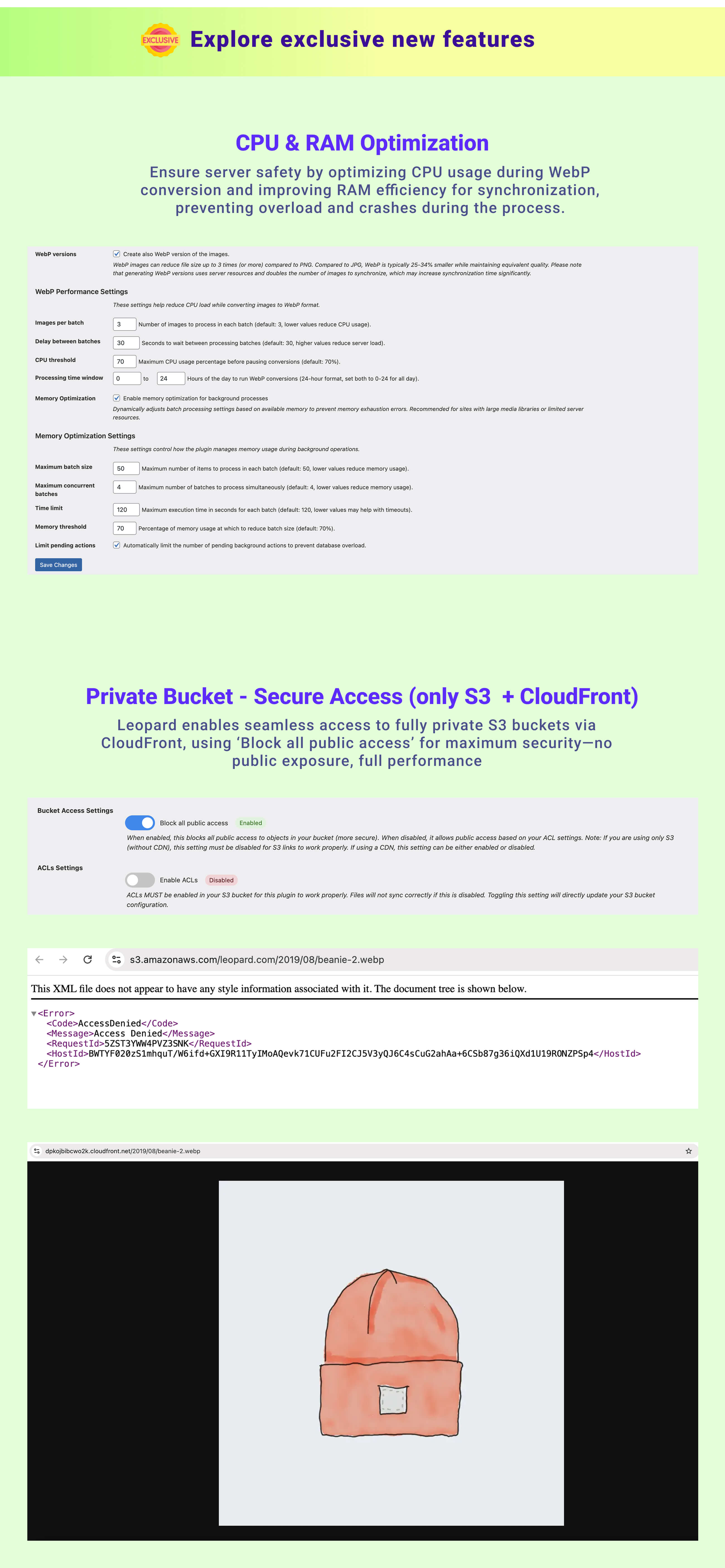 Leopard - WordPress Offload Media - 4